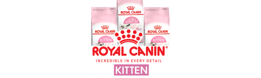 [ROYAL CANIN 法國皇家] Baby cat & Kitten 幼貓系列